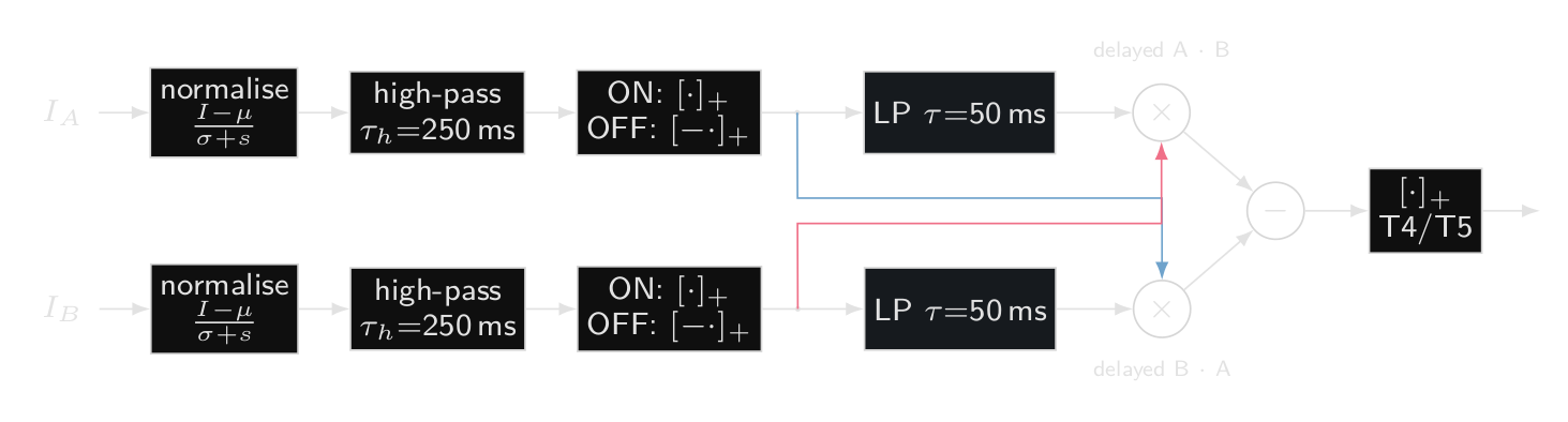 One motion detector. Each facet's signal is adjusted for local contrast, reduced to its changes and split into brightening and darkening. A delayed copy of facet A is multiplied by facet B now and vice versa. The difference is the motion signal for one direction.