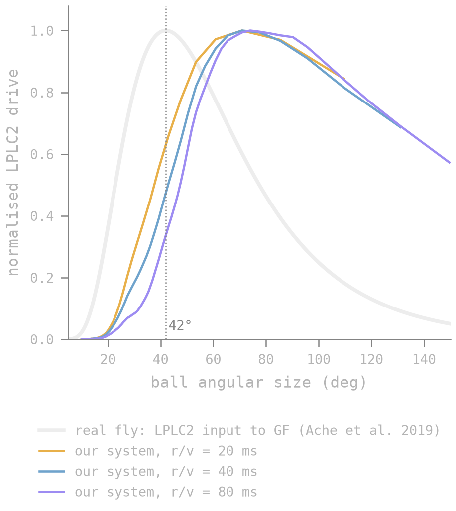 The model&rsquo;s looming detectors respond to larger objects than a real fly&rsquo;s. Their population response against ball size, at three speeds (colours), against the real fly (white).