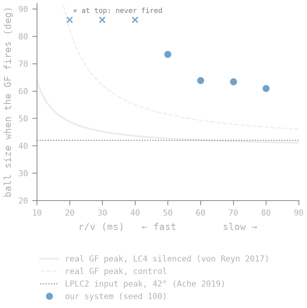 How large the ball looks when the giant fiber fires, against approach speed (r/v: smaller is faster). Lines: real flies (von Reyn et al., 2017; Ache et al., 2019). Blue: our fly. Crosses: approaches that never triggered an escape.