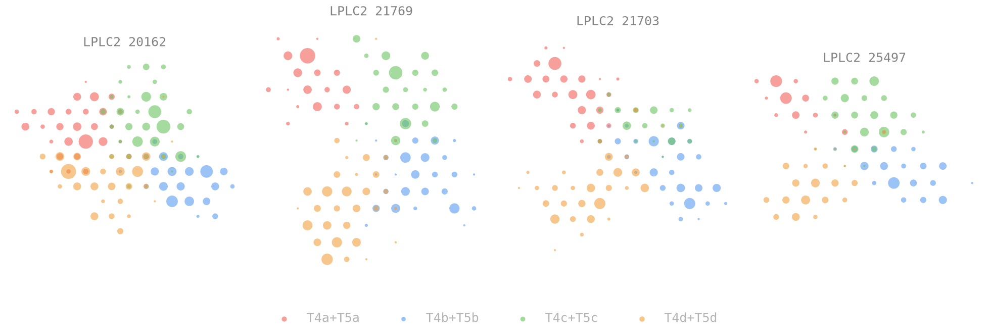The four-armed cross, read from the connectome. T4/T5 synapses per lobula-plate column for four LPLC2 cells, coloured by subtype (a red, b blue, c green, d orange); dot size is the synapse count. Each arm prefers motion outward from the cell&rsquo;s centre.